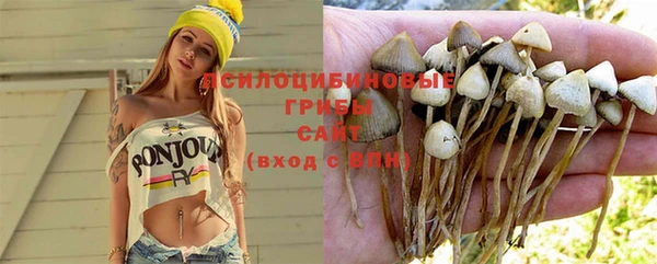 трава Богданович