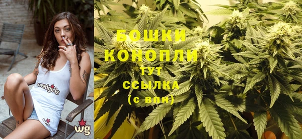 трава Богданович