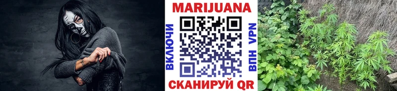 Купить  Свободный  Марихуана планчик 